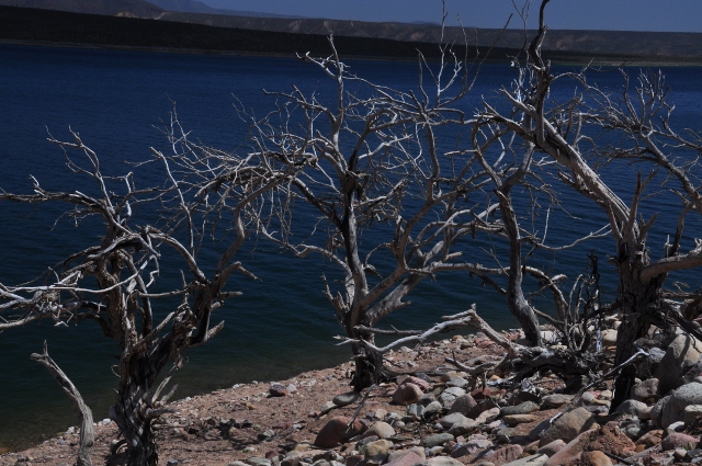 Lake Roosevelt